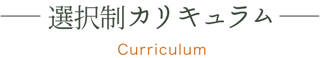 選択制カリキュラム